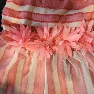 Pink Striped Dog Dress with Floral Accents